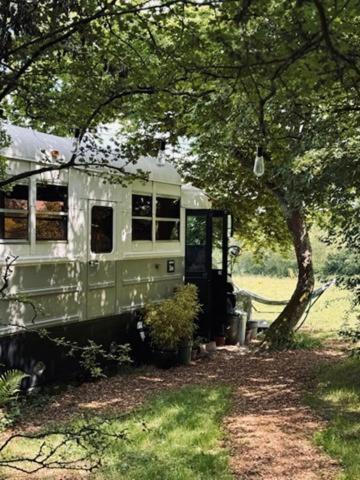 American School Bus Retreat With Hot Tub In Sussex Meadow Uckfield Exteriér fotografie